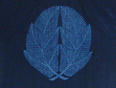 w얱 uv